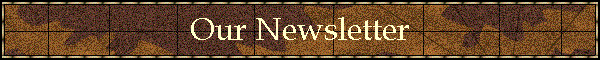 Our Newsletter