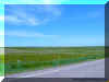 The_Prarie.jpg (204955 bytes)